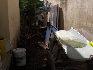 Mosquito breeding sites1