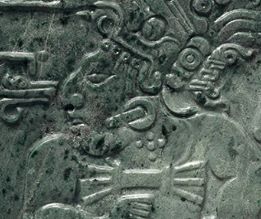 Maya Collection Image