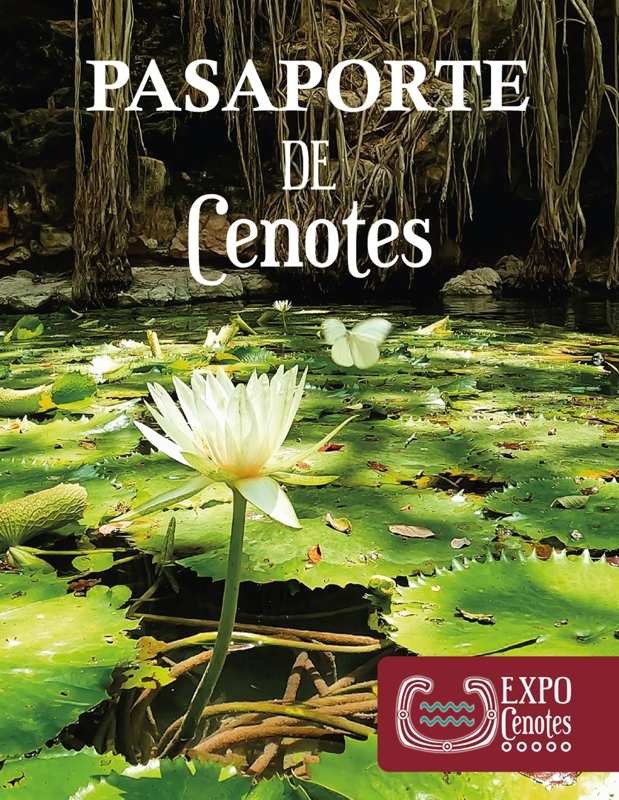 portada-pasaporte-y800